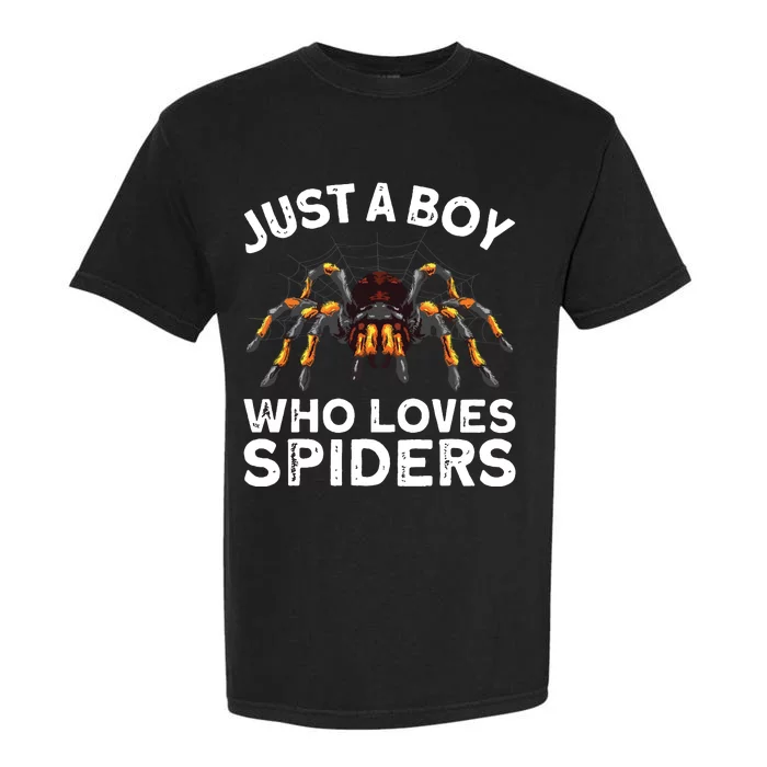 Spider Web Tarancute Spider For Boyspider Web Tarancute Spider Garment-Dyed Heavyweight T-Shirt