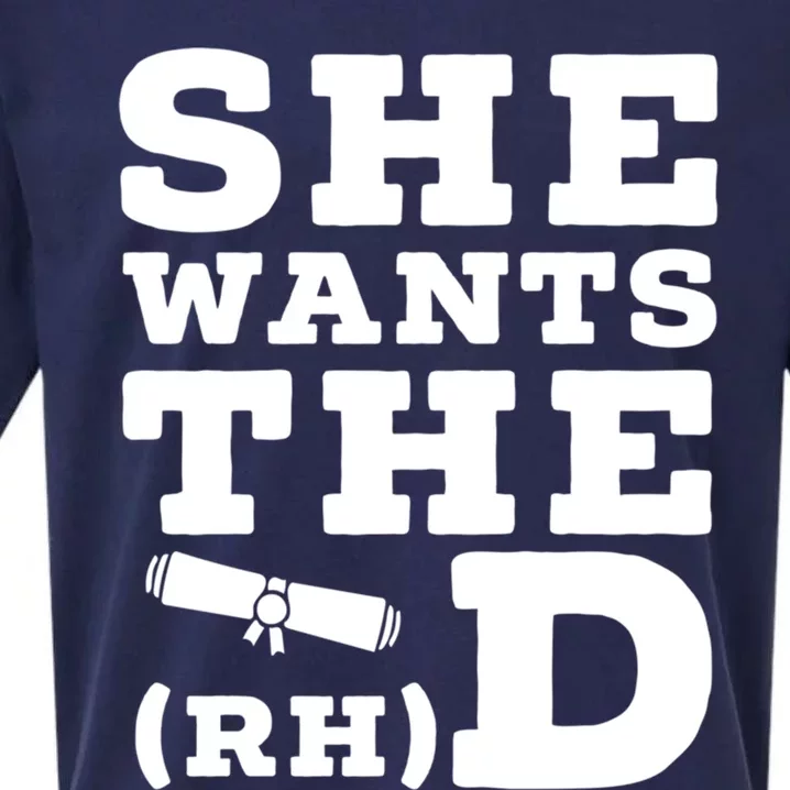 She Wants The D Doctor Of Rehabilitation Degree Graduate Meaningful Gift Sueded Cloud Jersey T-Shirt