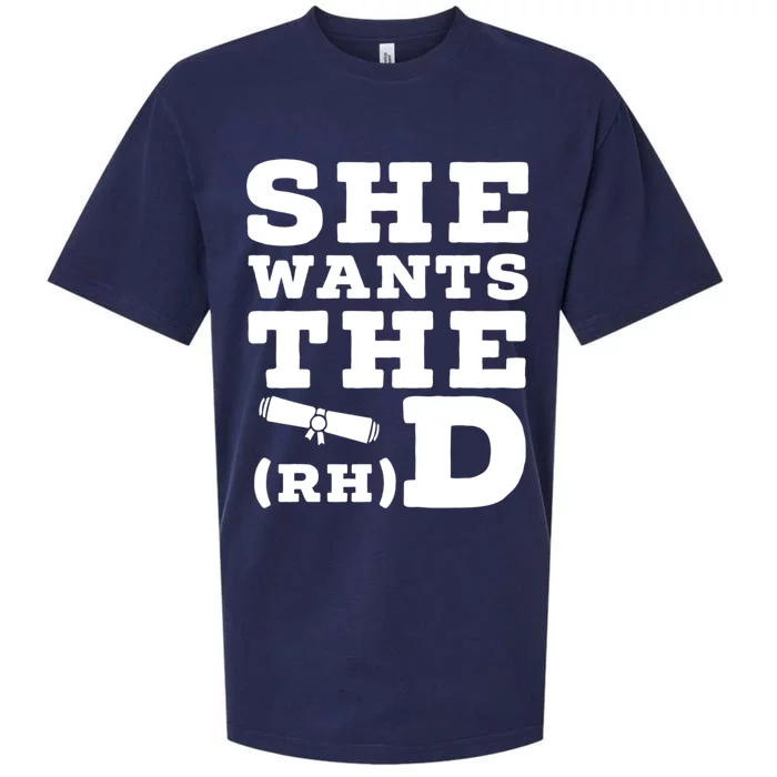 She Wants The D Doctor Of Rehabilitation Degree Graduate Meaningful Gift Sueded Cloud Jersey T-Shirt