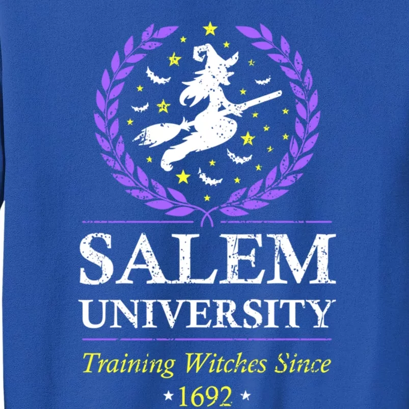 Salem Witch University Training Halloween Funny Gift Tall Sweatshirt