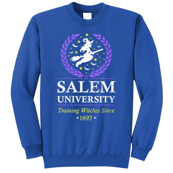 Salem Witch University Training Halloween Funny Gift Tall Sweatshirt