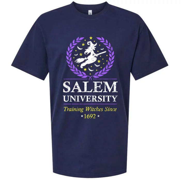 Salem Witch University Training Halloween Funny Gift Sueded Cloud Jersey T-Shirt