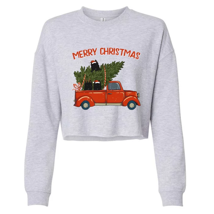 Schipperke Xmas Vintage Red Pickup Retro Truck Cute Gift Cropped Pullover Crew