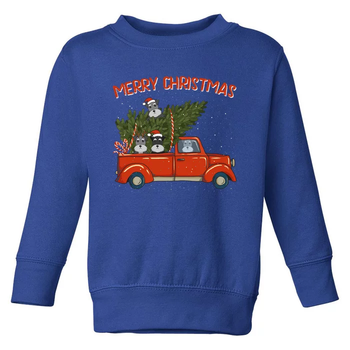 Schnauzer Xmas Vintage Red Pickup Retro Truck Meaningful Gift Toddler Sweatshirt