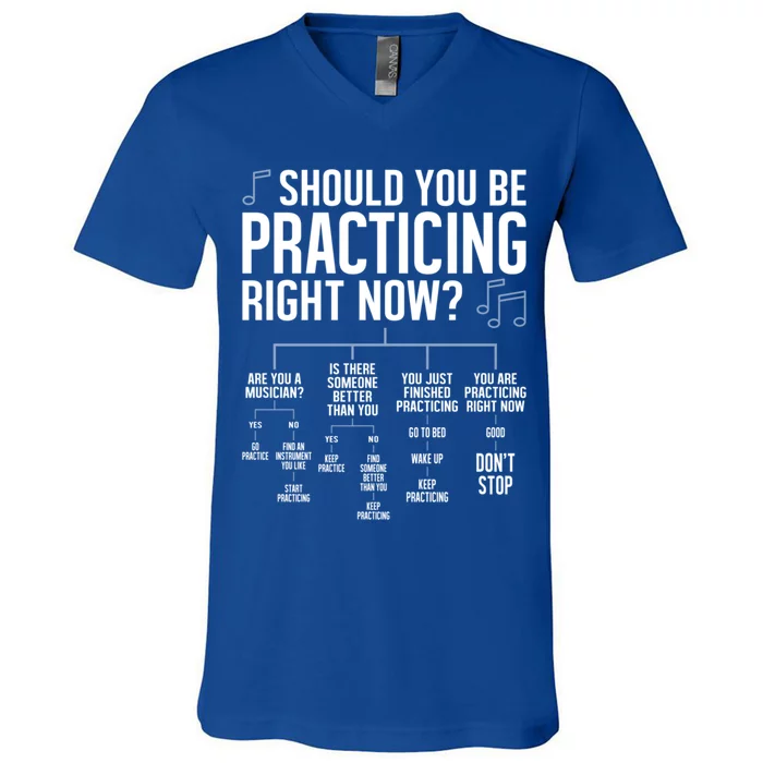 Schould You Be Practicing For Marching Band Or Orchestra Cute Gift V-Neck T-Shirt