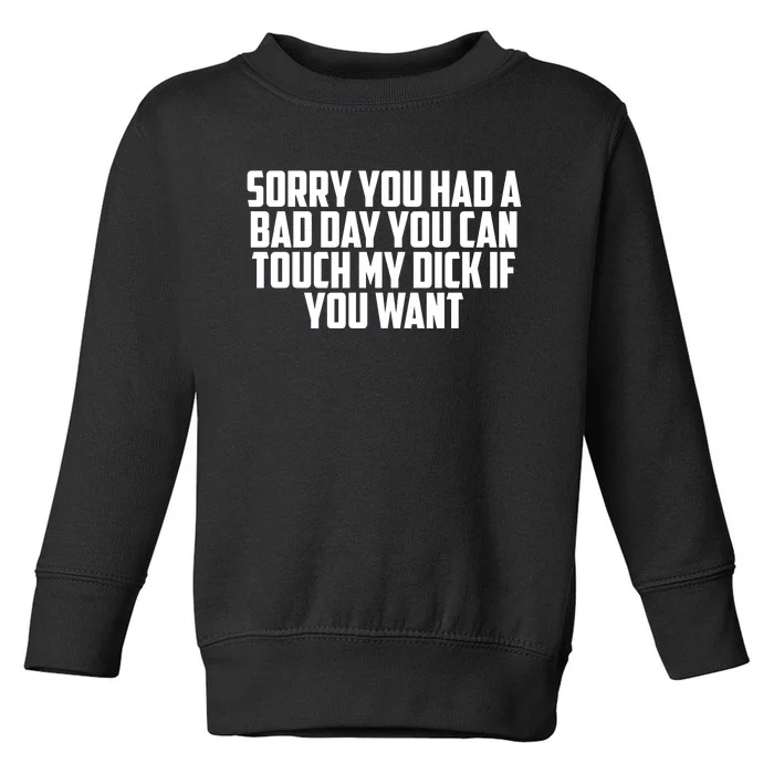 Sorry You Had A Bad Day You Can Touch If You Want Toddler Sweatshirt