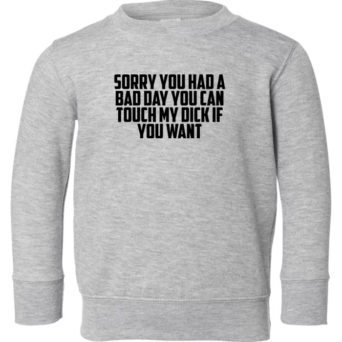 Sorry You Had A Bad Day You Can Touch My Dick If You Want Toddler Sweatshirt