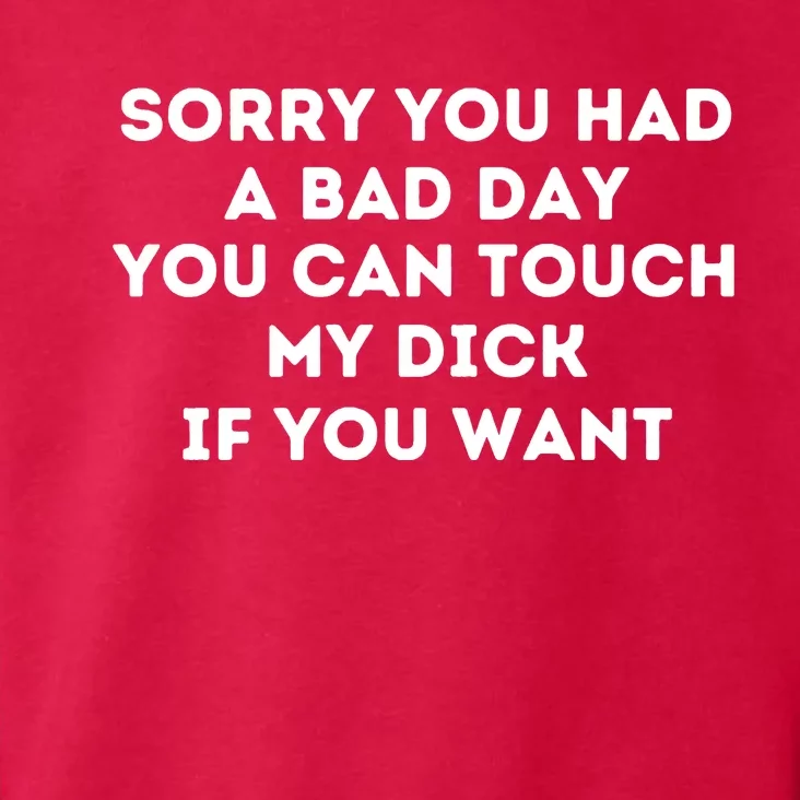 Sorry You Had A Bad Day You Can Touch My Dick If You Want Toddler Hoodie