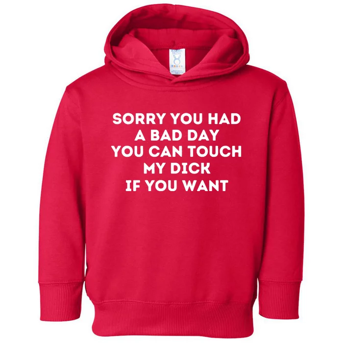 Sorry You Had A Bad Day You Can Touch My Dick If You Want Toddler Hoodie