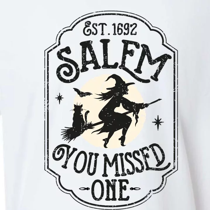 Salem You Missed One Funny Halloween Feminist Witch Trials Sueded Cloud Jersey T-Shirt