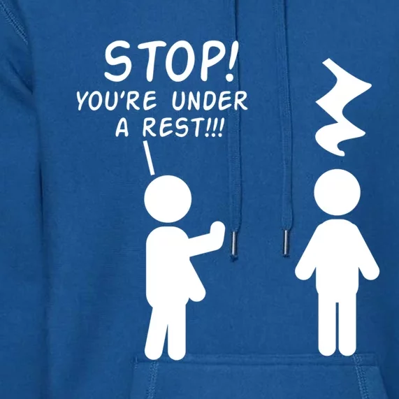 Stop You're Under A Rest Funny Music Band Gift Premium Hoodie