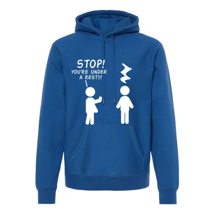 Stop You're Under A Rest Funny Music Band Gift Premium Hoodie