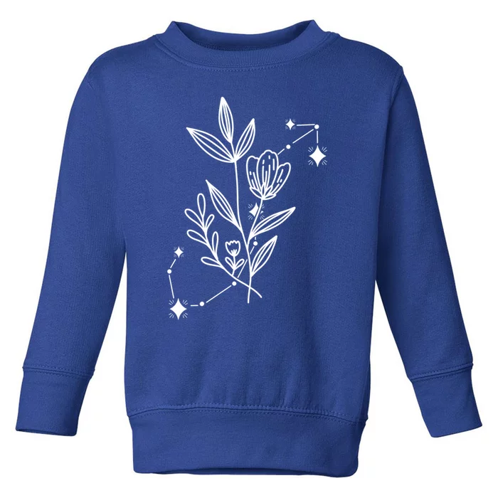 Scorpio Zodiac Sign Constellation Astronomy Gift Toddler Sweatshirt