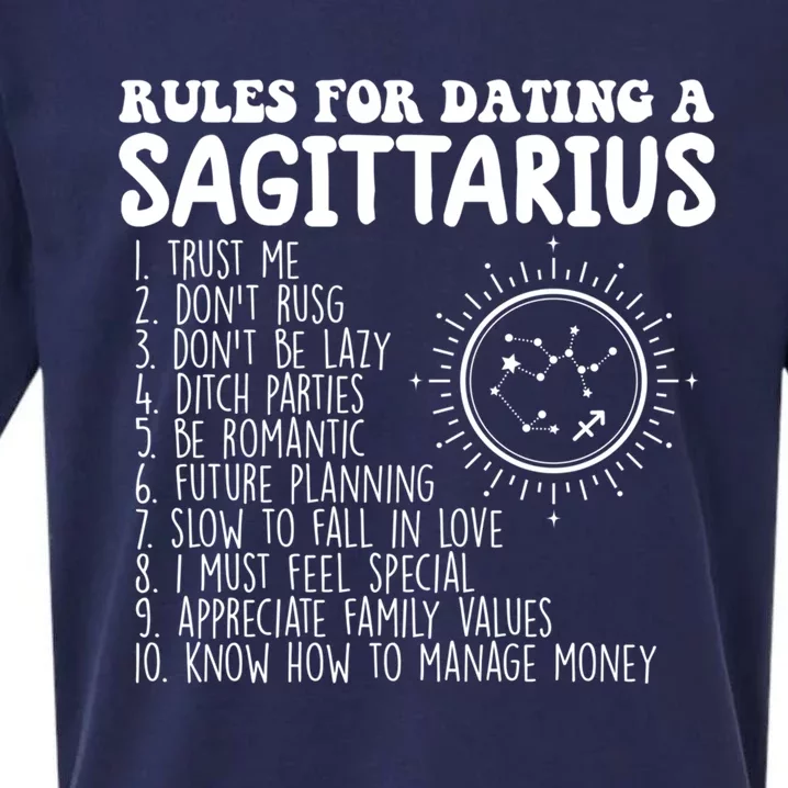 Sagittarius Zodiac Tee Horoscope Astrology Sagittarius Sign Funny Gift Sueded Cloud Jersey T-Shirt