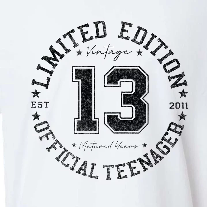 Teenager 13th Birthday 13 Year Old Gifts Sueded Cloud Jersey T-Shirt