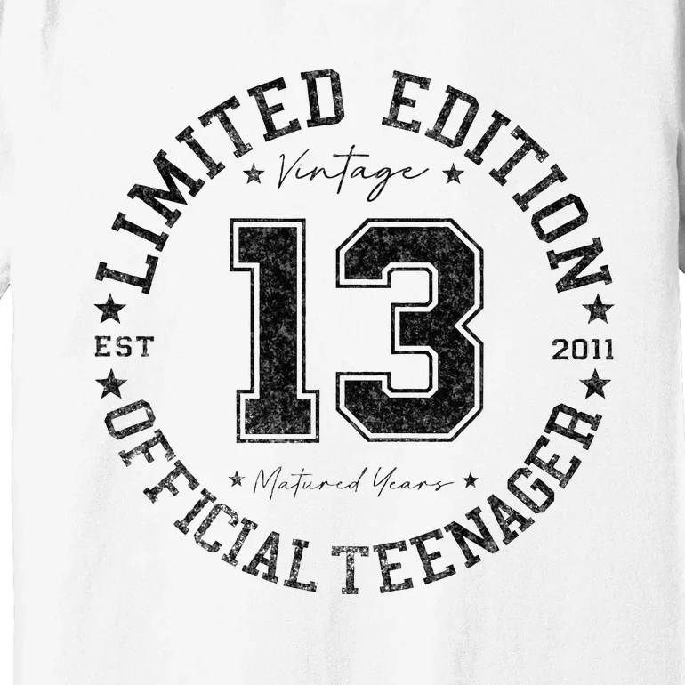 Teenager 13th Birthday 13 Year Old Gifts Premium T-Shirt