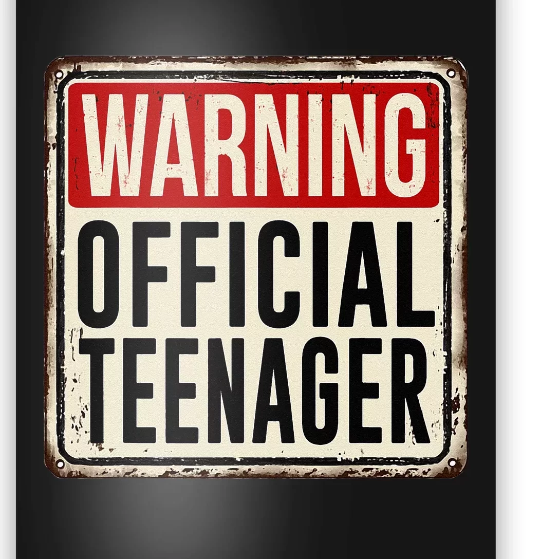 Teenager 13th Birthday Gift 13 Year Old Poster