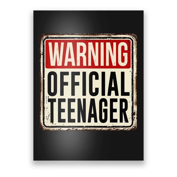 Teenager 13th Birthday Gift 13 Year Old Poster