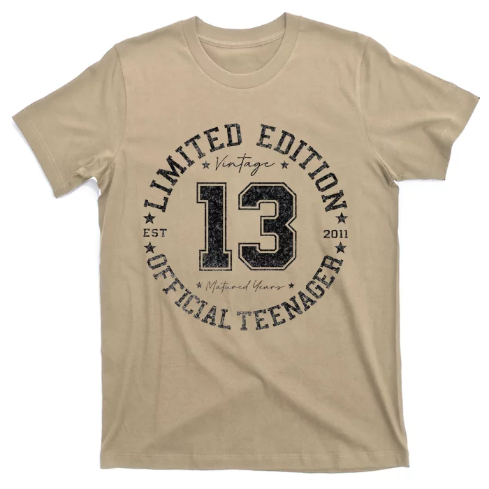 Teenager 13th Birthday 13 Year Old Gifts T-Shirt