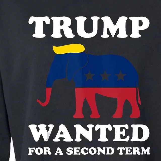 Trump 2024 45 Squared Trump Wanted For Second Term 2024 Cropped Pullover Crew