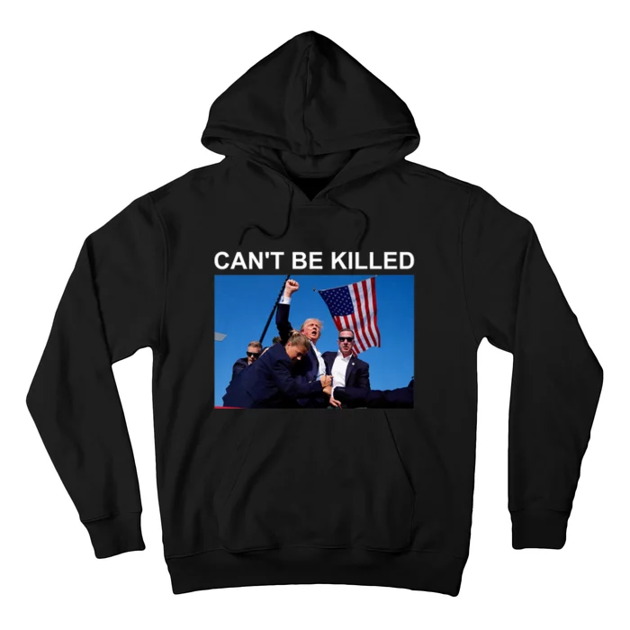 Trump 2024 CanT Be Killed Trump Hoodie