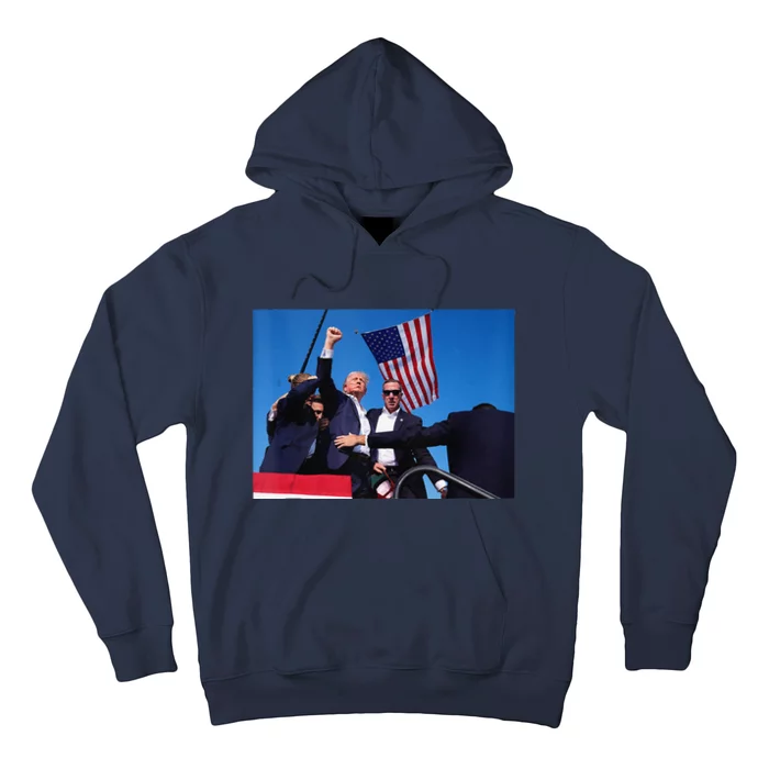 Trump 2024 Donald Trump Fist Pump Hoodie