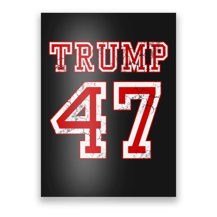 Trump 2024 Election Republican Conservative Poster