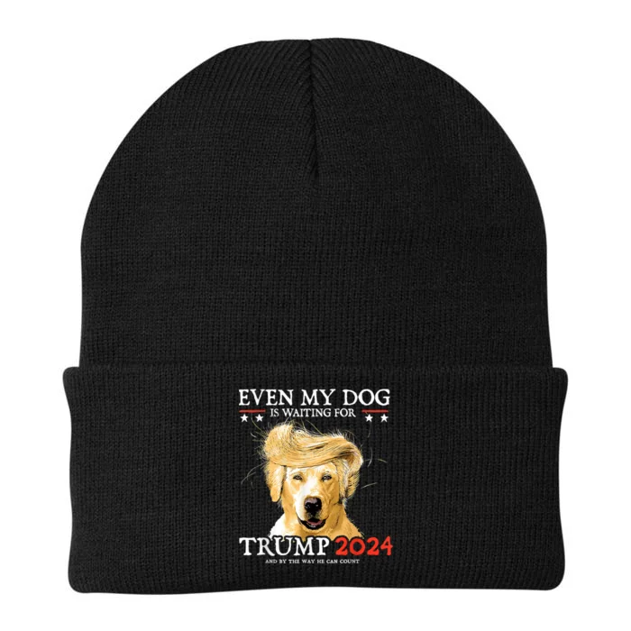 Trump 2024 Even My Dog Is Waiting For Trump 2024 Knit Cap Winter Beanie