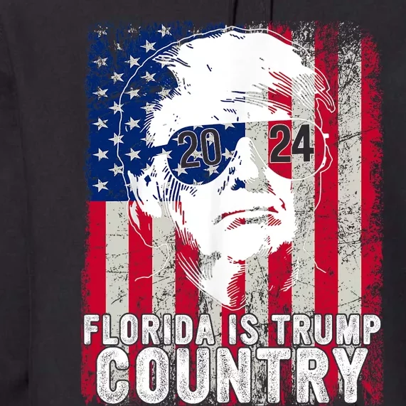 Trump 2024 Florida Trump Country American Flag Election Premium Hoodie