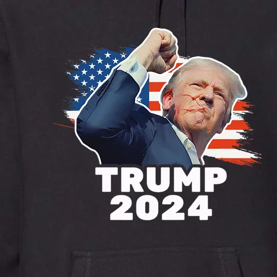 Trump 2024 Fist Bump President Red Premium Hoodie