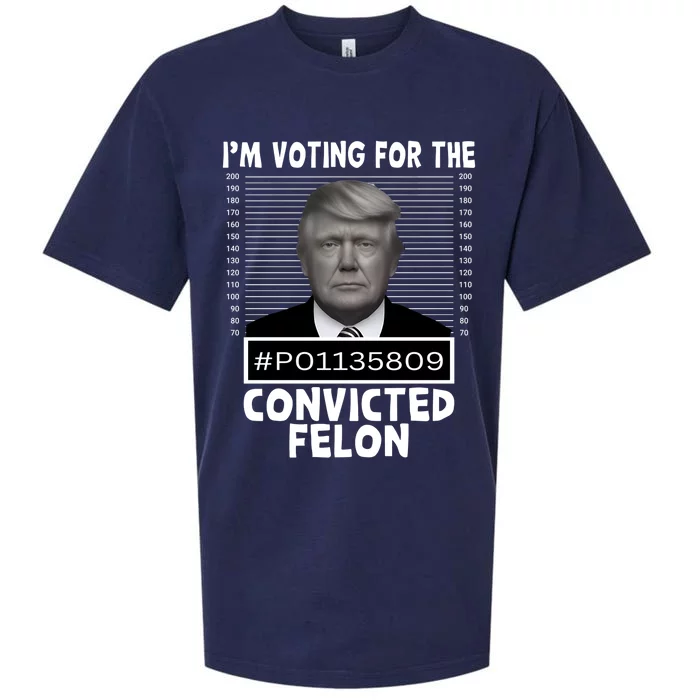 Trump 2024 Im Voting For The Convicted Felon Sueded Cloud Jersey T-Shirt