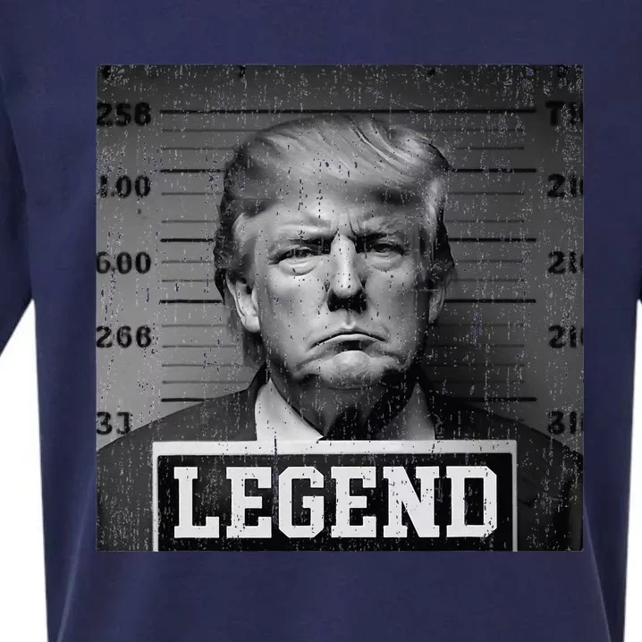 Trump 2024 Mugshot President Legend Sueded Cloud Jersey T-Shirt