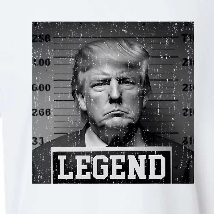 Trump 2024 Mugshot President Legend Sueded Cloud Jersey T-Shirt