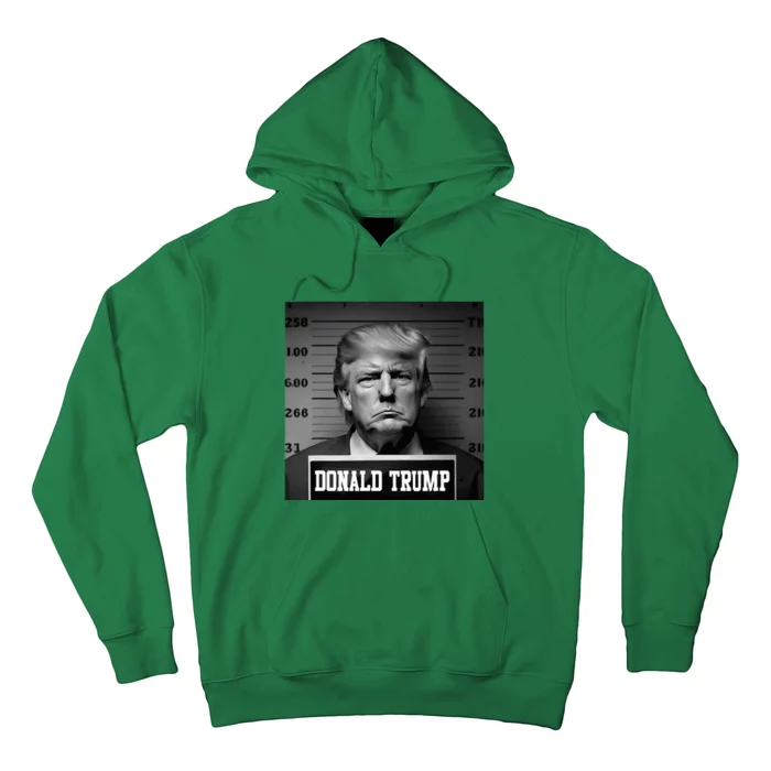 Trump 2024 Mugshot Trump Mug Shot President Hoodie