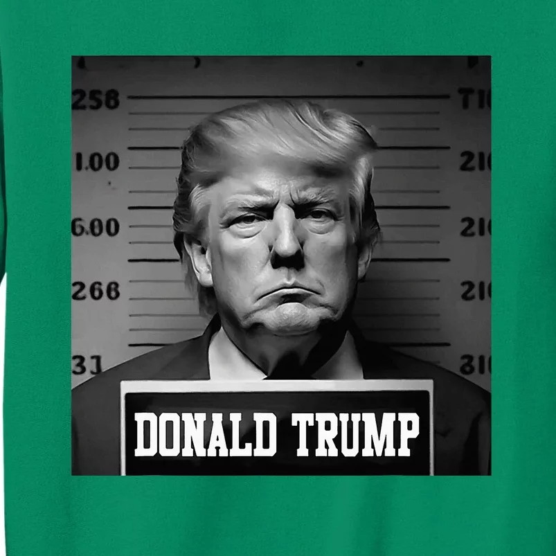 Trump 2024 Mugshot Trump Mug Shot President Sweatshirt