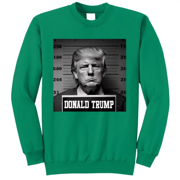 Trump 2024 Mugshot Trump Mug Shot President Sweatshirt