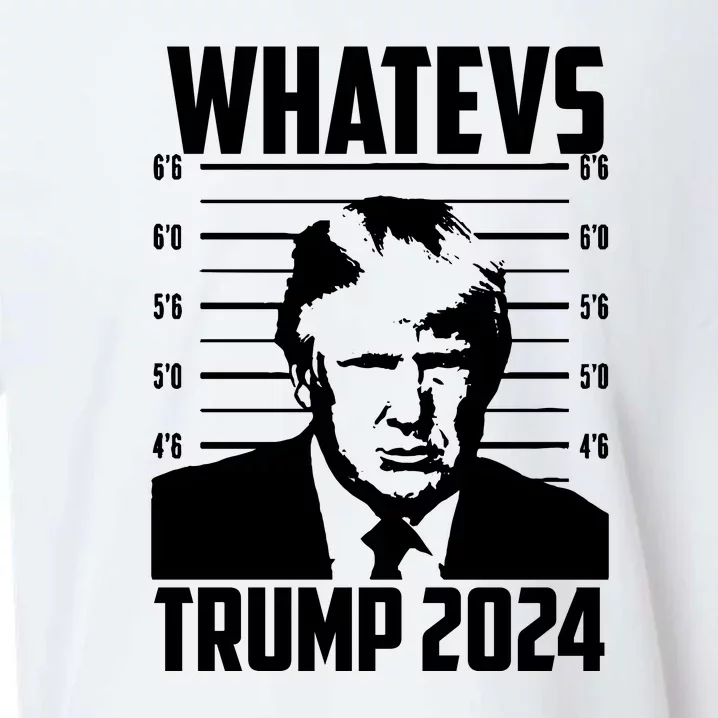 Trump 2024 Mugshot President Whatevs  Trump 2024 Sueded Cloud Jersey T-Shirt