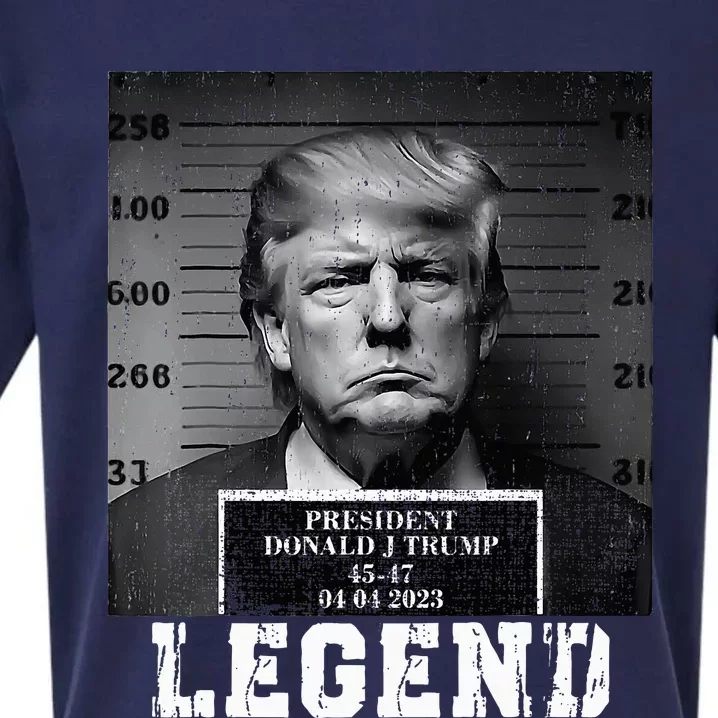 Trump 2024 Mugshot President Legend Sueded Cloud Jersey T-Shirt