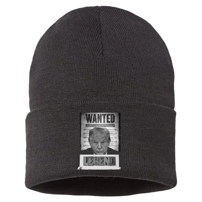 Trump 2024 Mugshot President Legend Sustainable Knit Beanie