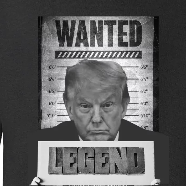 Trump 2024 Mugshot President Legend Toddler Sweatshirt