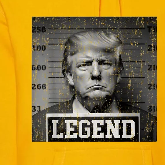 Trump 2024 Mugshot President Legend Pro Trump Premium Hoodie