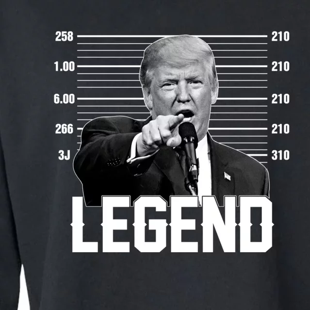 Trump 2024 Mugshot President Legend Vote Election Cropped Pullover Crew