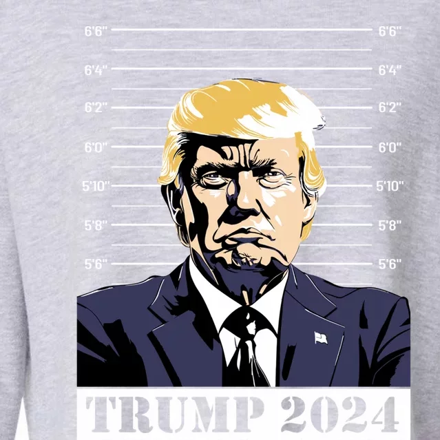 Trump 2024 Mug Shot Jail President Election Trump 2024 Gift Cropped Pullover Crew