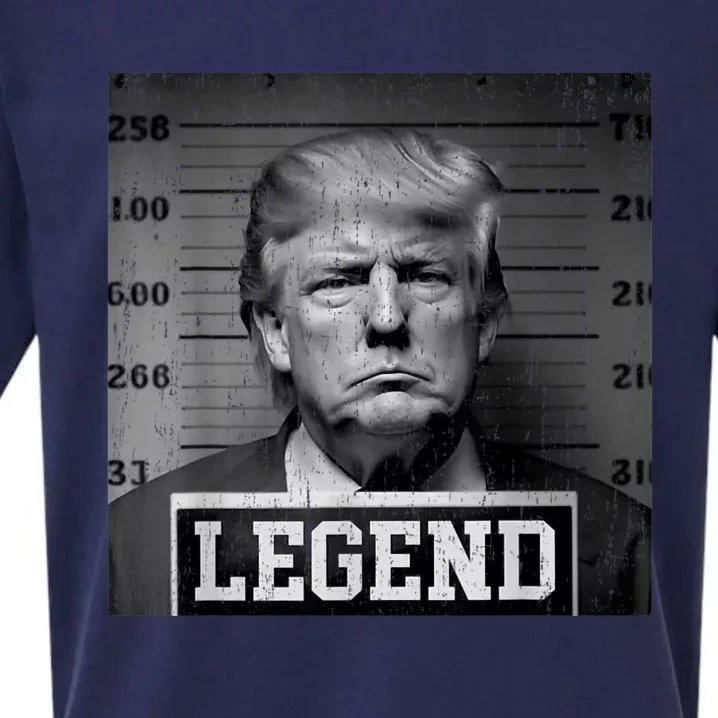 Trump 2024 Mugshot President Legend Sueded Cloud Jersey T-Shirt