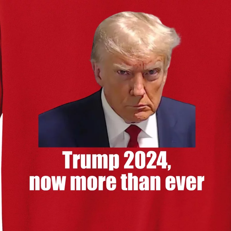 Trump 2024 Now More Than Ever Sweatshirt