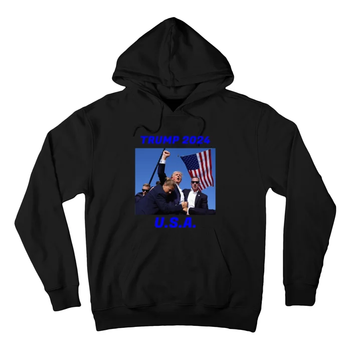 Trump 2024 Stay Strong Fist Pump Rally Secret Service Flag Hoodie