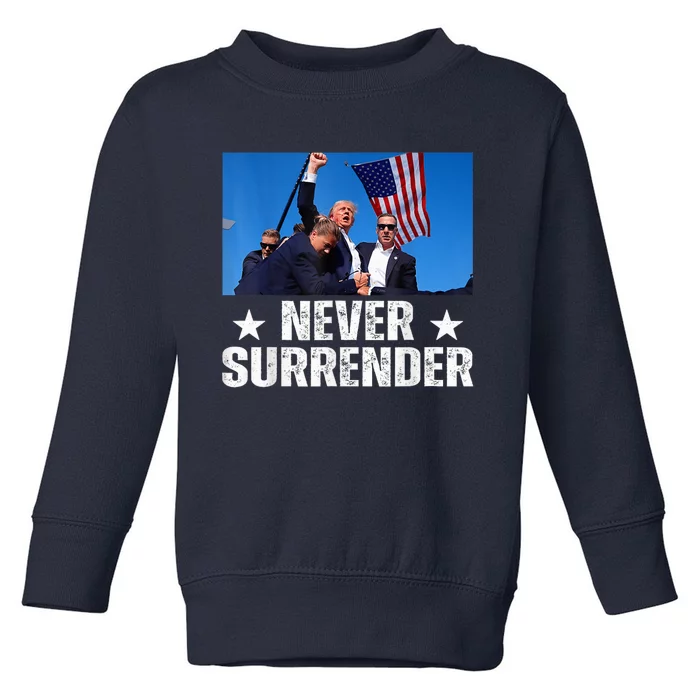 Trump 2024 Us Flag Donald Trump Election Rally Shooting 2024 Toddler Sweatshirt