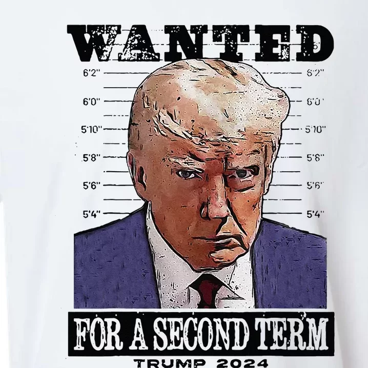 Trump 2024 Wanted For A 2nd Term Sueded Cloud Jersey T-Shirt