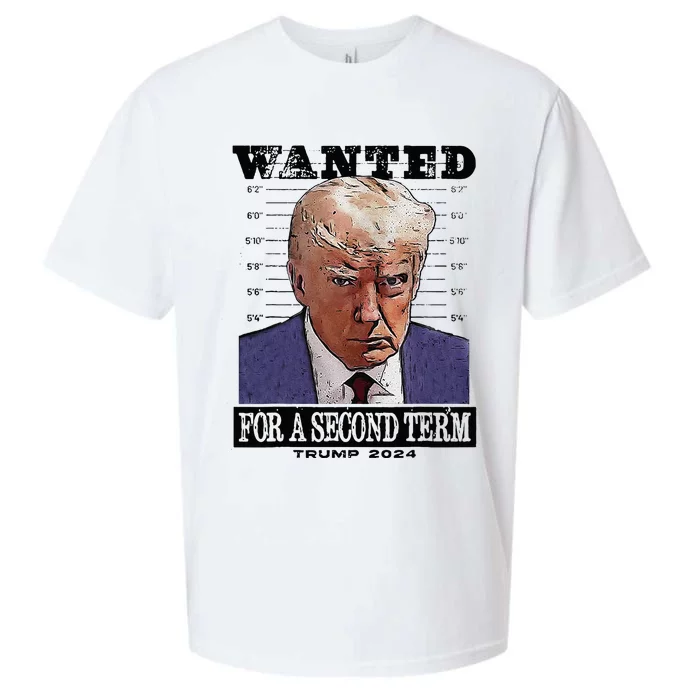 Trump 2024 Wanted For A 2nd Term Sueded Cloud Jersey T-Shirt