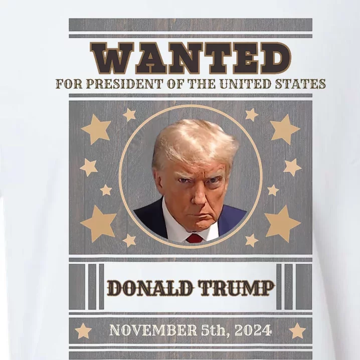 Trump 2024 Wanted For President Of The United States Sueded Cloud Jersey T-Shirt